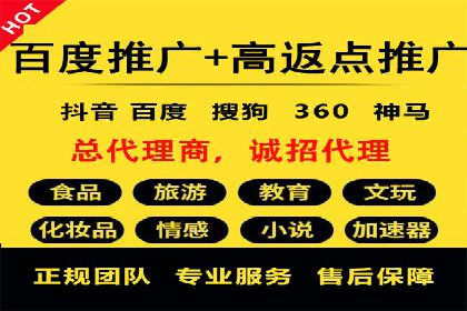 百度SEO推广公司成功案例：助力企业实现流量暴增